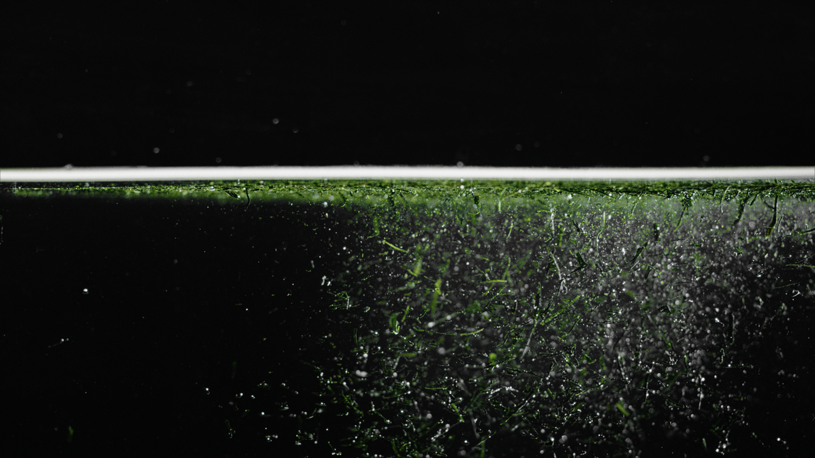 <p>We add nothing to alter or embellish. No sugar, alcohol, or carbon — only the natural sweetness and umami of Gyokuro. The absence of additives allows you  — our dear like-minded believer — to encounter tea in its most elemental form. </p>