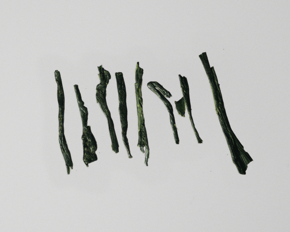 <p>In place of synthetic stabilizers and pesticides, we amplify and invest in nature’s own defenses. Our soils, enriched over centuries with phosphorus-rich minerals, sustain leaves of remarkable vitality. We don’t stop here. Every year we test and certify our farms whose craft produces the teas that shape our expressions — and teas that naturally preserve themselves. Rich in antimicrobial qualities, Gyokuro safeguards its own integrity, remaining alive, vibrant, and pure. </p>